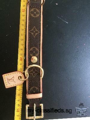 Louis Vuitton dog collar BAXTER MM Medium Size brand NEW