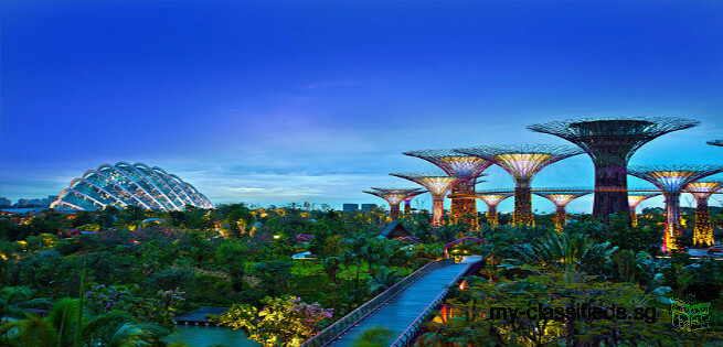 Singapore City Tour Package