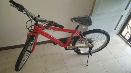 2x Aleoca Mountian Bike for sale (NEW Condition) blue/red