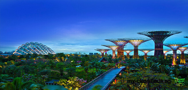 Singapore City Tour Package