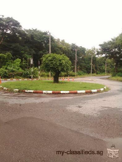 Land for sale is very beautiful 2 plots land very nice environment located within The Project