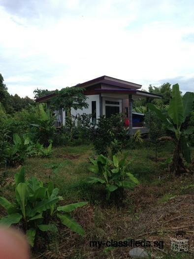 Sale Nice Land with smaller House with Durian Farm among nature closed long river Chantaburi