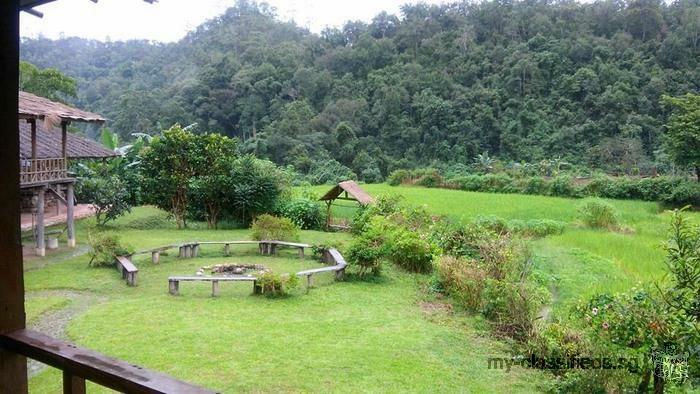 Lease Home Stay for sale smaller home stay on the High Top Hill, small district Chiang Mai