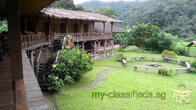 Lease Home Stay for sale smaller home stay on the High Top Hill, small district Chiang Mai