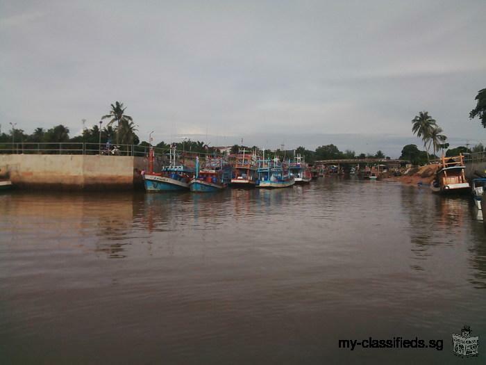 ขายที่ดินใกล้ชายหาดทุ่งวัวแล่นบีช มีโฉนด เหมาะปลูกบ้านพักตากอากาศ บนเนินเขาเตี้ย สวยมากๆ ชุมพร