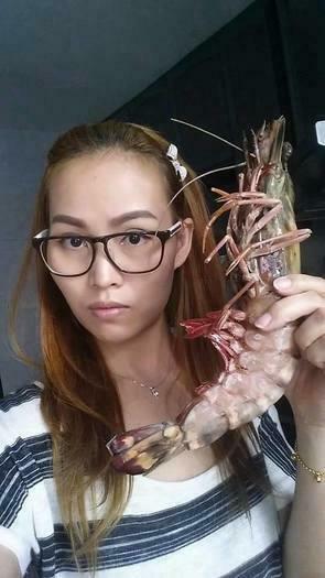 Jumbo tiger prawns for sale