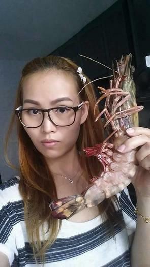 Jumbo tiger prawns for sale