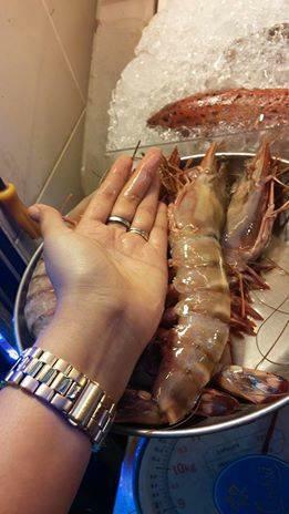 Jumbo tiger prawns for sale