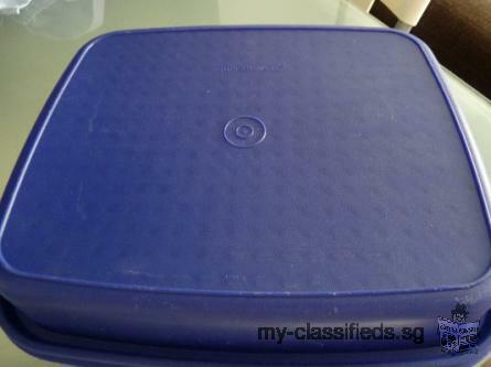 Tupperware BBQ Marinating Container - 120