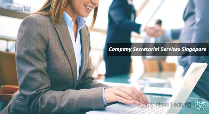 Hire Cost Effective Company Secretarial Services Singapore