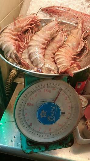 Jumbo tiger prawns for sale