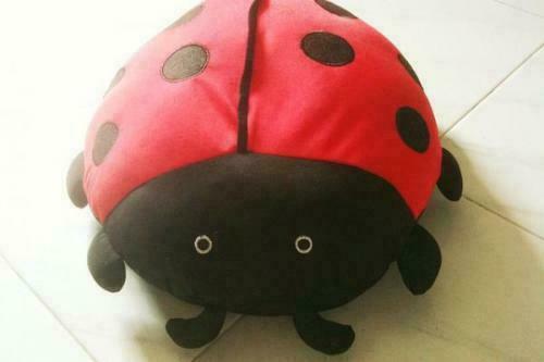 Ladybird Microbead Cushion