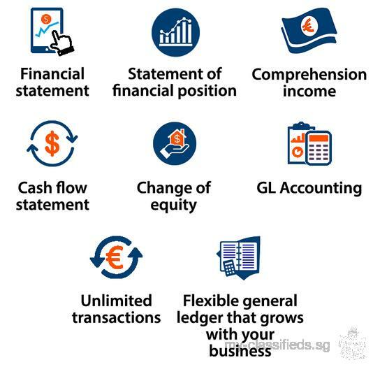 SoftDrive SME IFRS