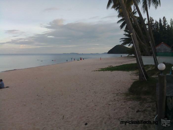 Land on the low hill near beach Chumphon with Chanote for sale very very beautiful suitable for Vill