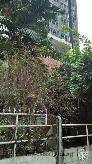 Old Town House for sale Suitable for House ,Office or Small Project