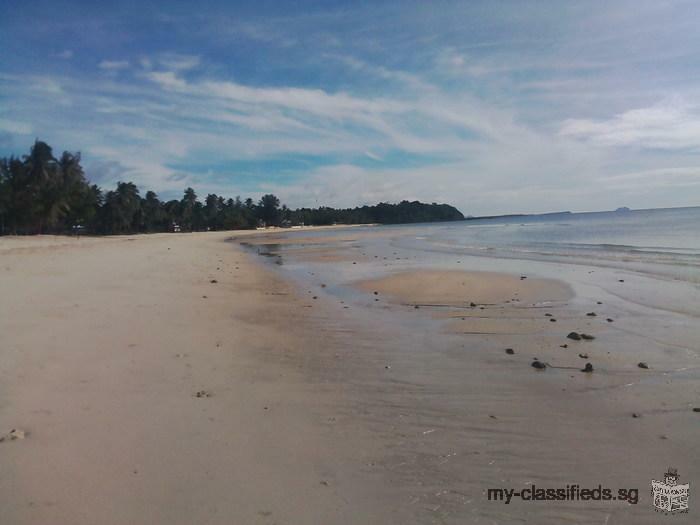 ขายที่ดินใกล้ชายหาดทุ่งวัวแล่นบีช มีโฉนด เหมาะปลูกบ้านพักตากอากาศ บนเนินเขาเตี้ย สวยมากๆ ชุมพร